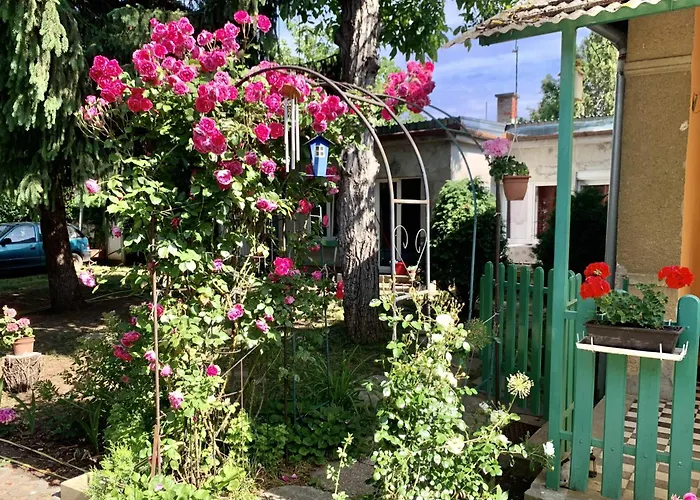 Two With Bath Apartment Vecses